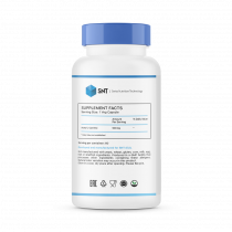 SNT Acetyl-L-Carnitine, 60 капсул