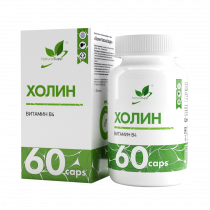 Natural Supp Choline, Холин, 60 капсул